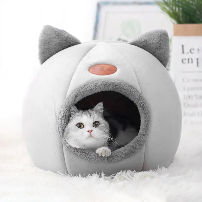 Premium furry home pet bed providing warmth and comfort for your furry friend