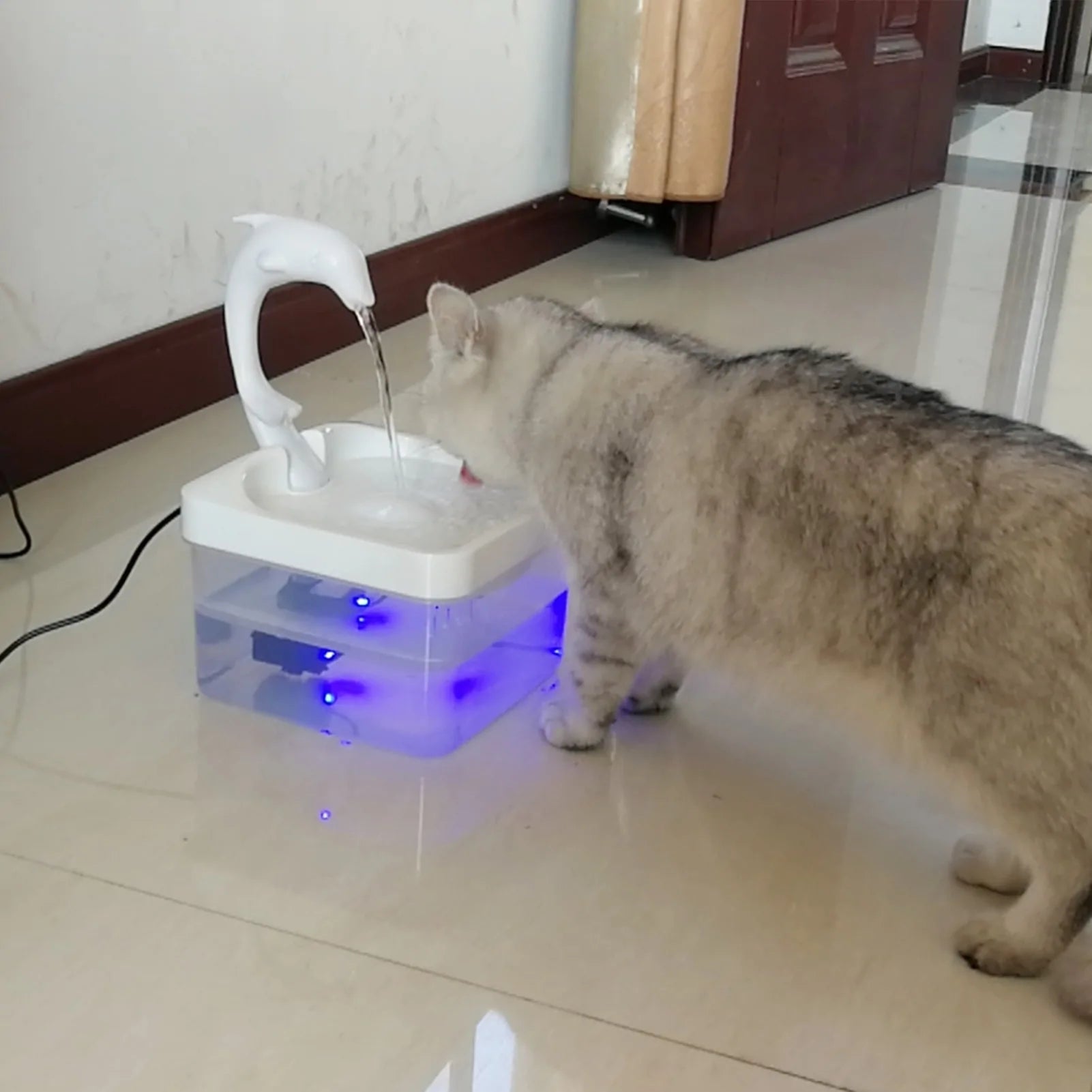 Easy-to-clean Pet Fountain designed for convenient maintenance and hygiene